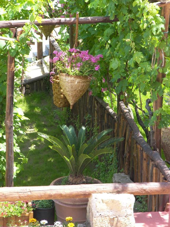 Albergo 'La Vigna' بروسيدا المظهر الخارجي الصورة