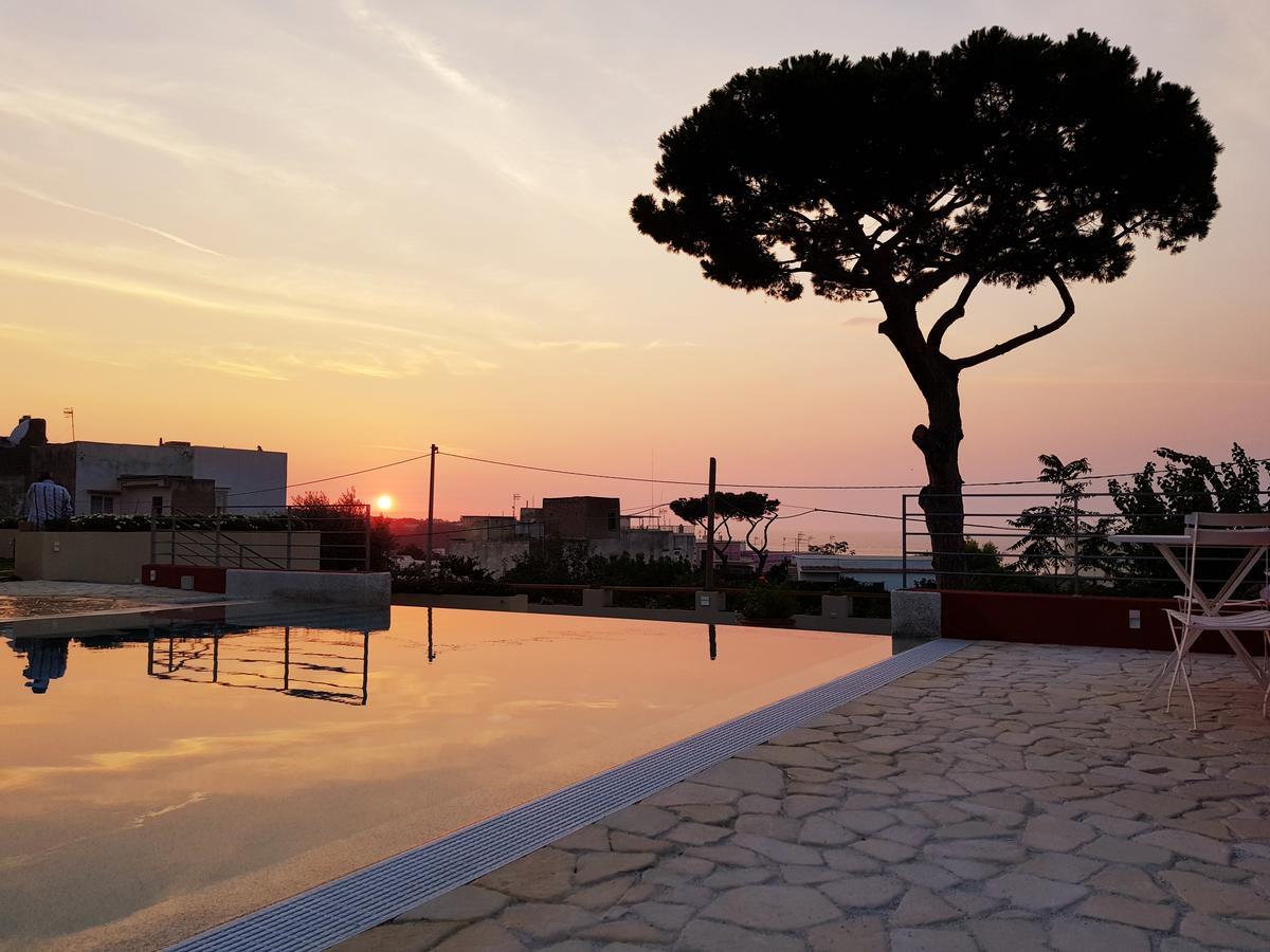 Albergo 'La Vigna' بروسيدا المظهر الخارجي الصورة
